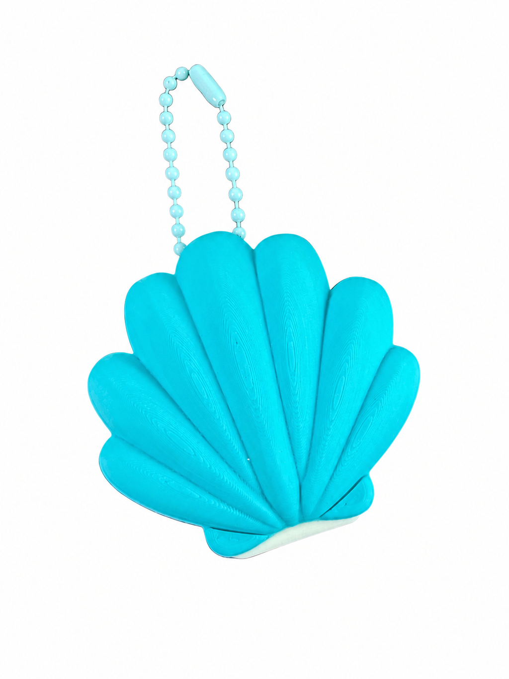 Can Opener Seashell