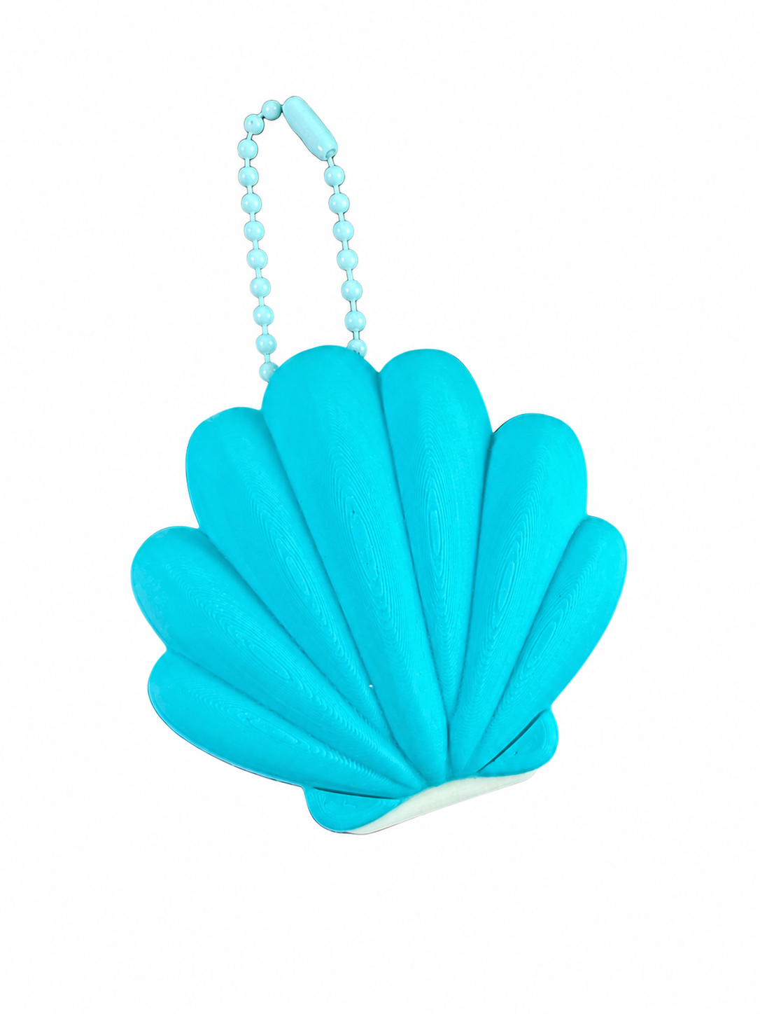 Can Opener Seashell