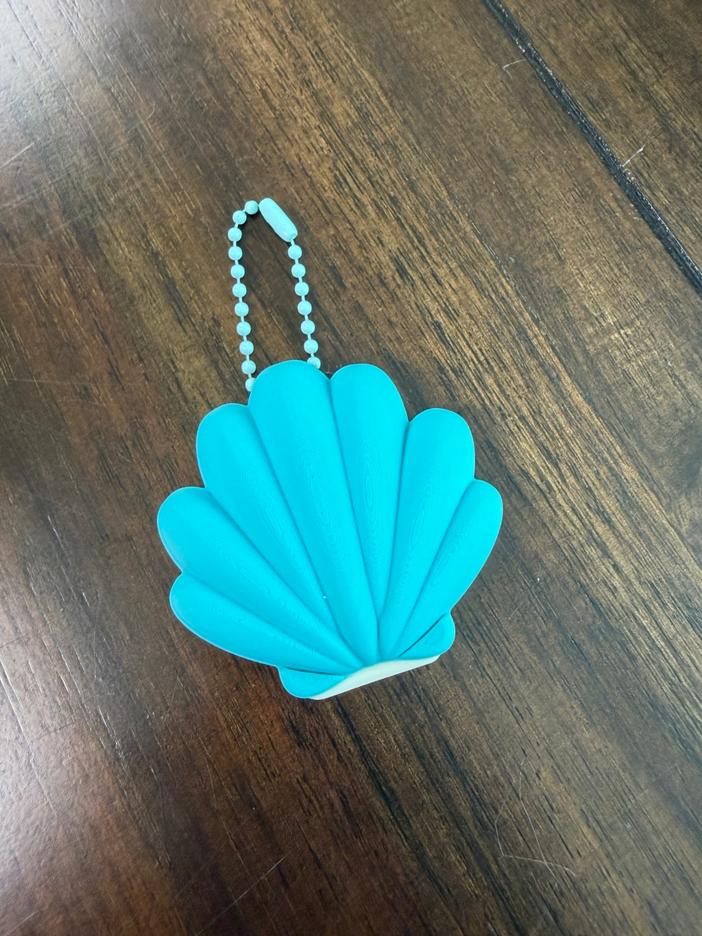 Can Opener Seashell