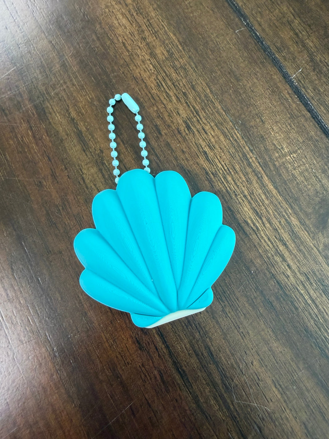 Can Opener Seashell