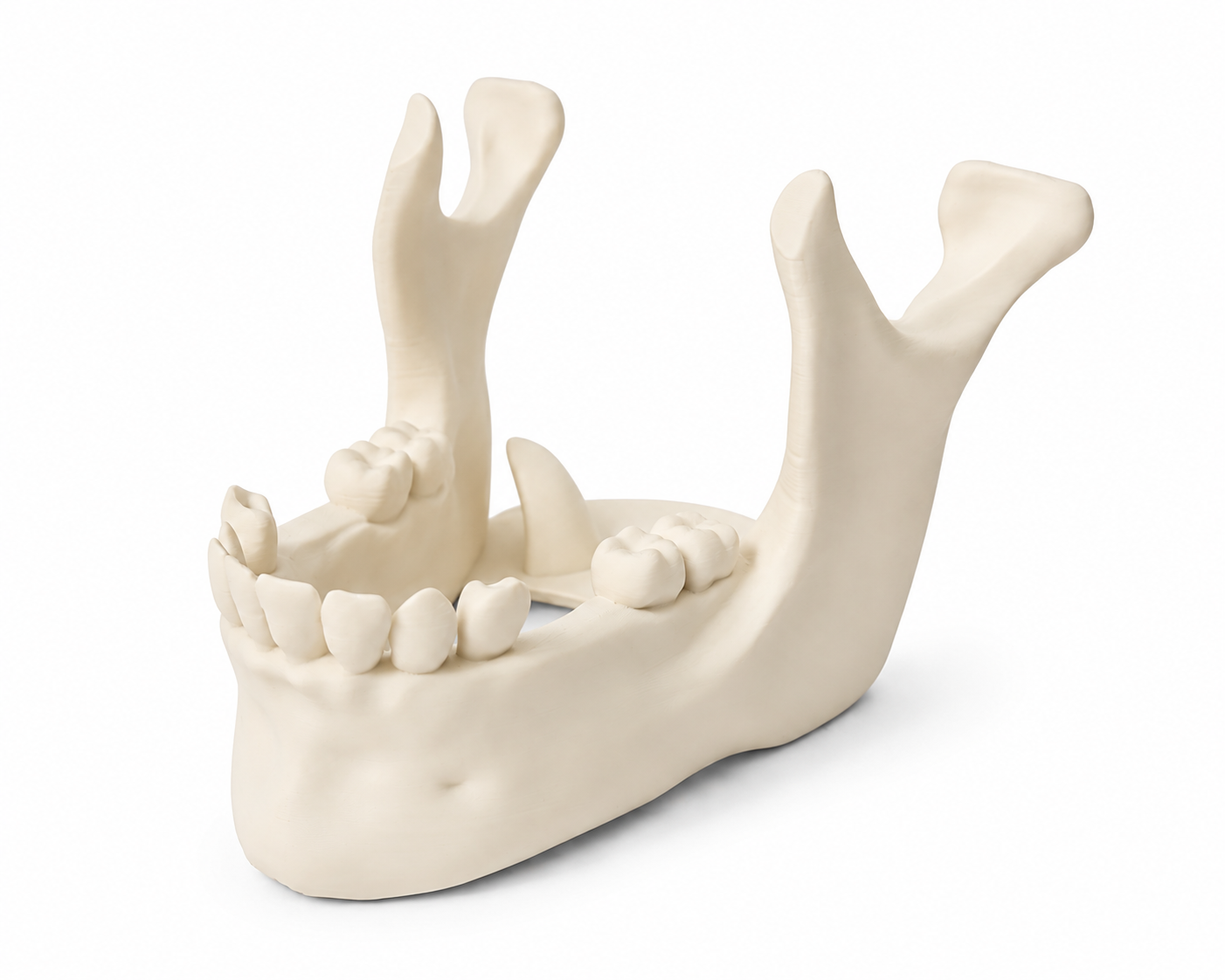Phone Stand Jaw Bone